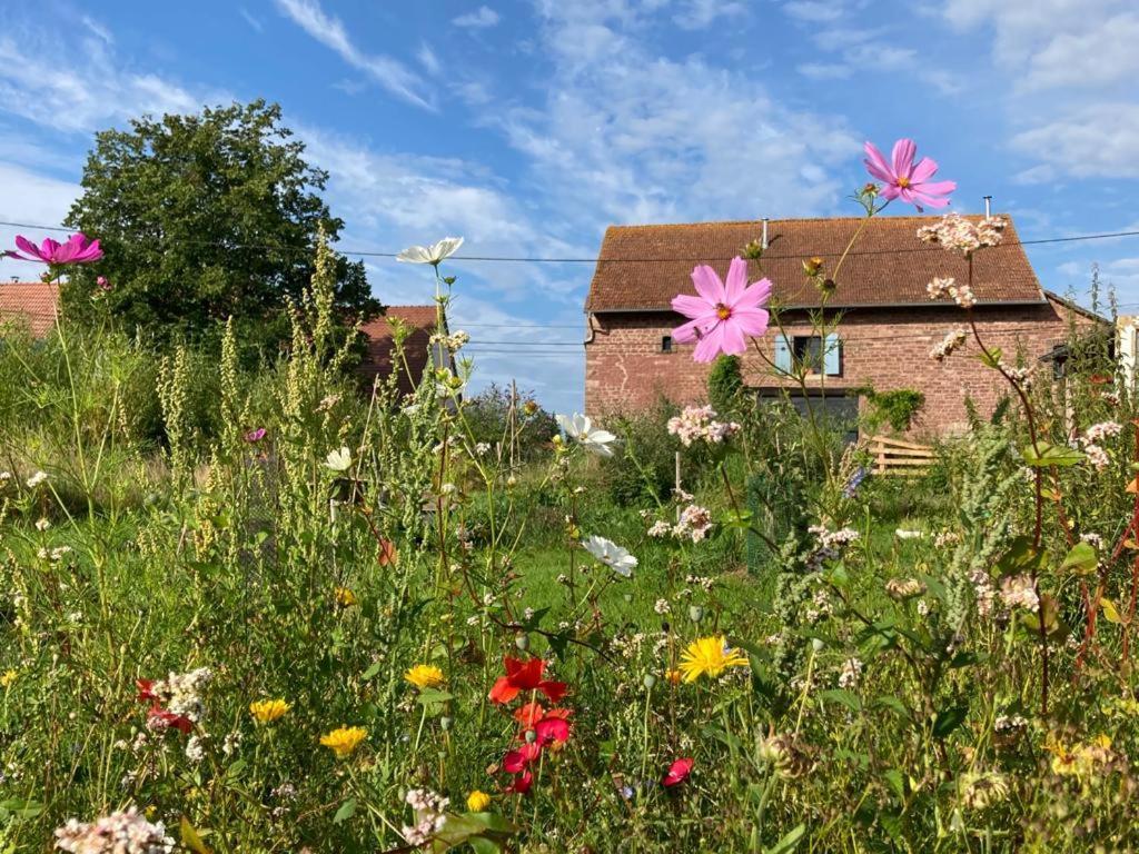 La Grange De Bois De Chene Leilighet Phalsbourg Eksteriør bilde